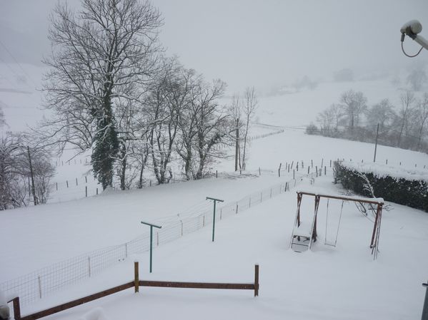 neige du 08 01 2010 012