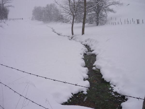 neige du 08 01 2010 024