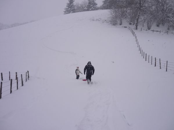 neige du 08 01 2010 026