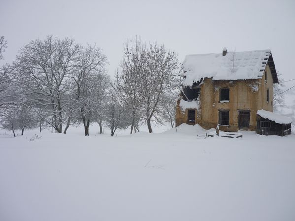 raquette du 09 janvier10 024
