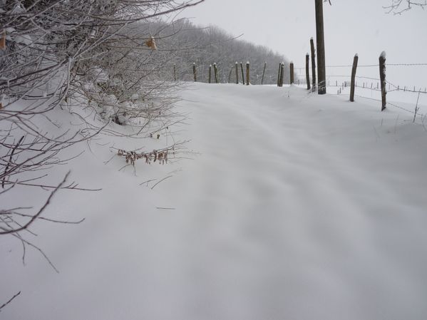 raquette du 09 janvier10 027