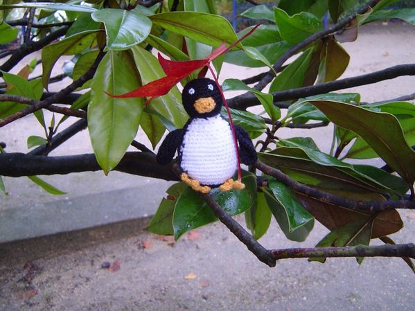 Pingouin arboricole