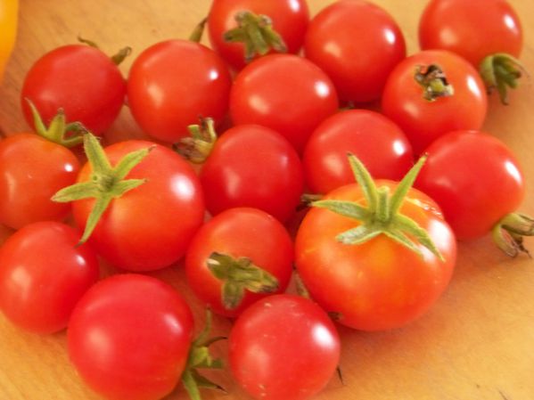 tomate cerise