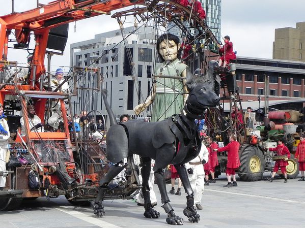 Sea Odyssey (47)