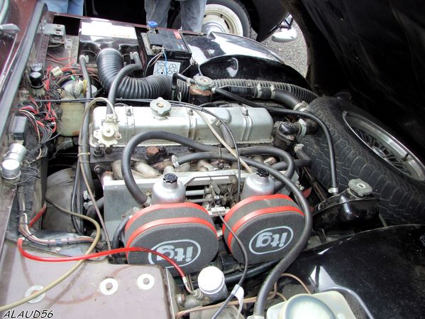 Apigne-Thelethon-09--148-.jpg