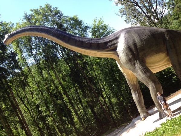 dino-zoo 1023