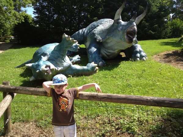 dino-zoo 1025