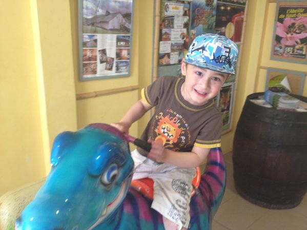 dino-zoo 1040