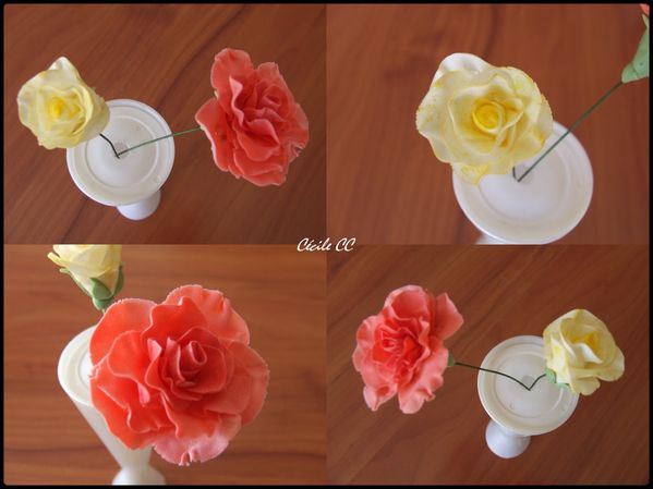 roses 1