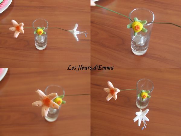 fleurs d'Emma 1