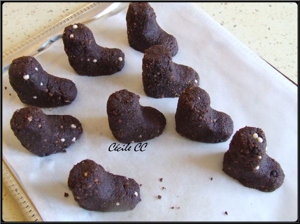 biscuit-choco-croustillant-cake-pop.jpg