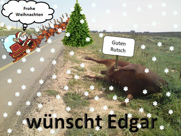 Edgar---Weihnachten---Schnee_2.jpg