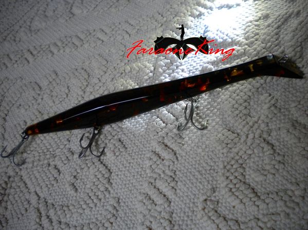 rt 002a-copia-1