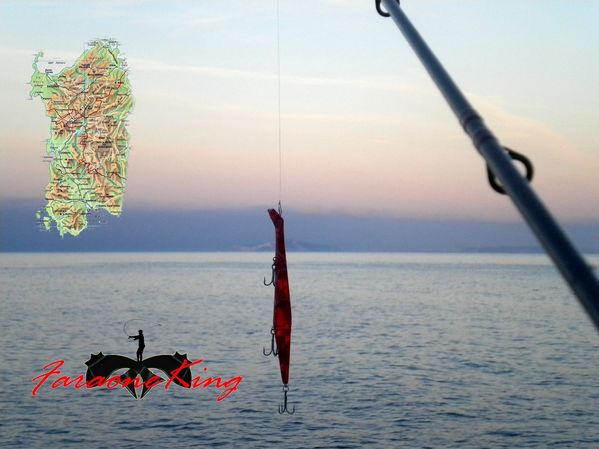 rt 061a-copia-1