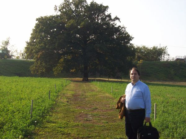 Quercia-con-me.jpg