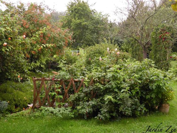 Barrière aux framboises