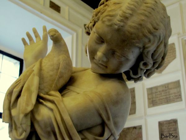 Musei 5642