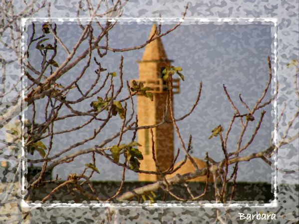 PC301216.1
