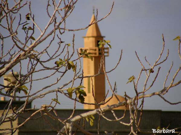 PC301216