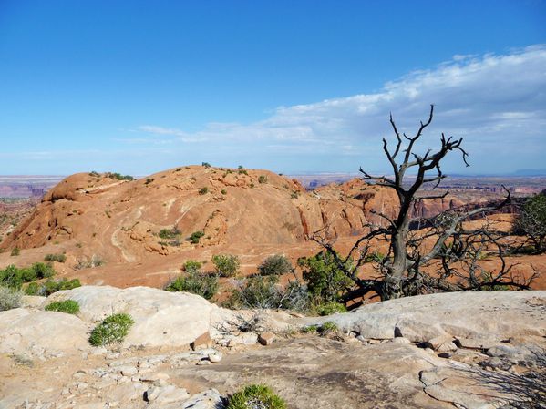 Jour 6 Canyonlands Upheaval Dome Trail