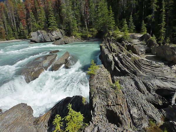 Jour 17 Yoho Natural Bridge Kicking Horse river 2