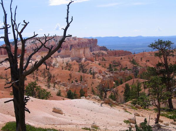 Bryce Canyon 13