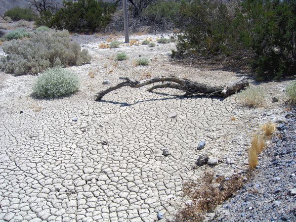 Vallée de la Mort Furnace Creek 2