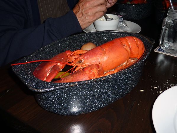 Bar-Harbor-homard.jpg