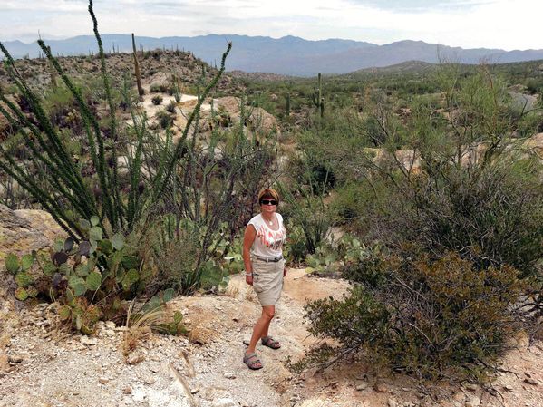 Tucson Saguaro NP Est 8 Martine (2)-copie-1