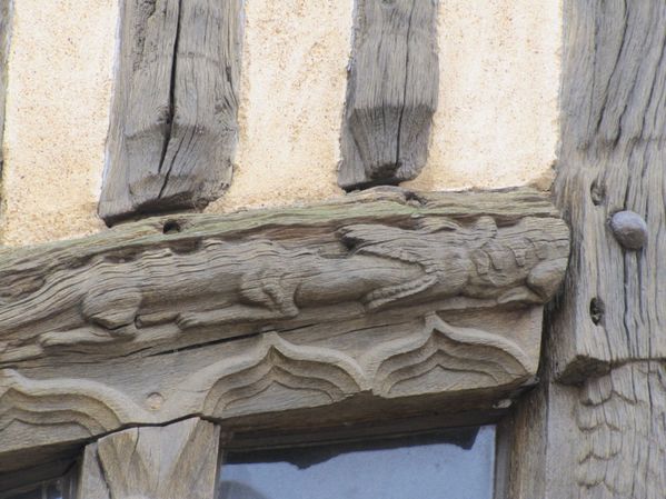 chartres cathedrale 20mars 034