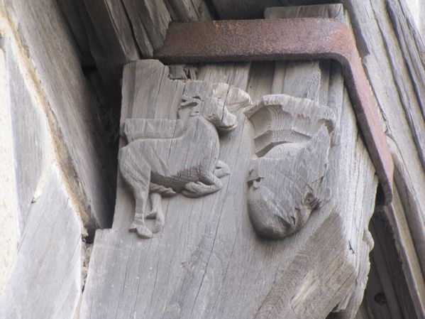 chartres cathedrale 20mars 041