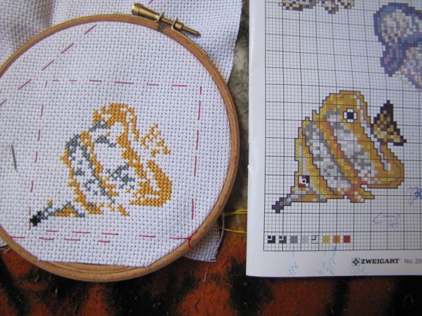 poisson jaune