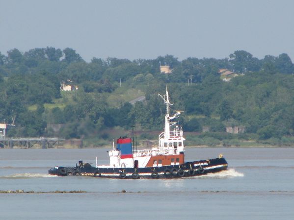 505.JPG