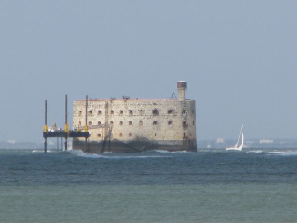 923.JPG