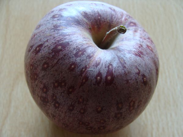 pomme