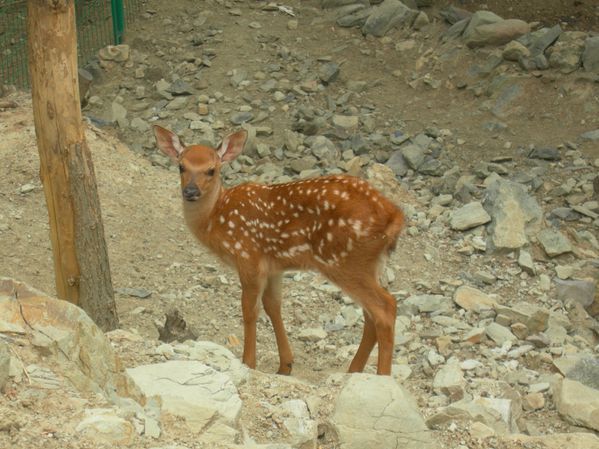 Xiangshan 030612 001