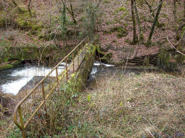 Installation-sur-le-Mamoul-au-Pont-du-Bois.jpg