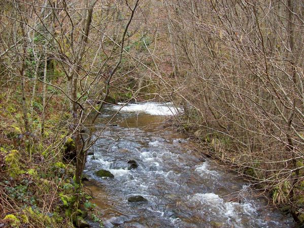 Mamoul au Pont du Bois