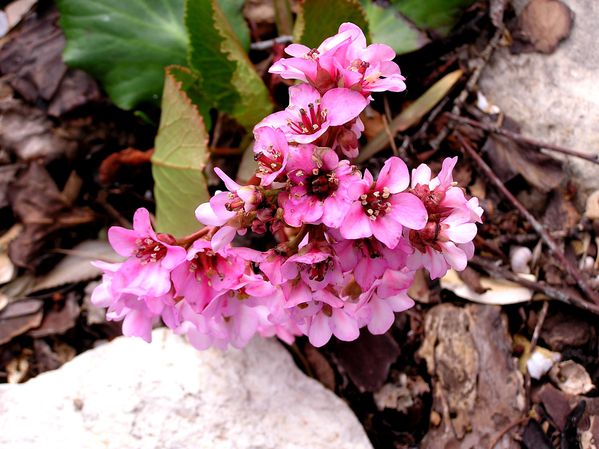 20030101_12.JPG