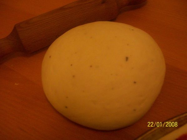 100_4246.jpg