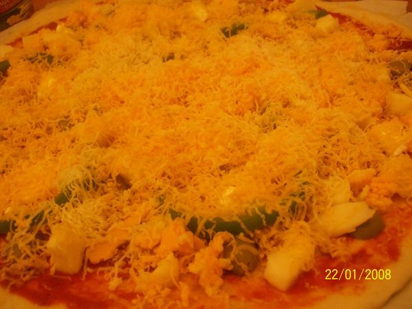 100_4250.jpg