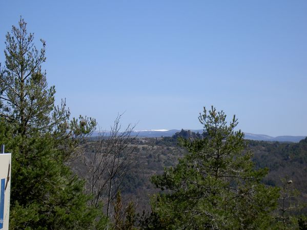 PICT4419.JPG
