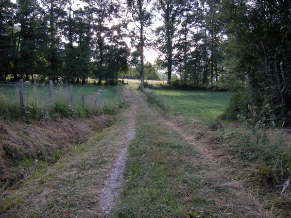 Vue depuis Péréram, chemin menant au village saurat