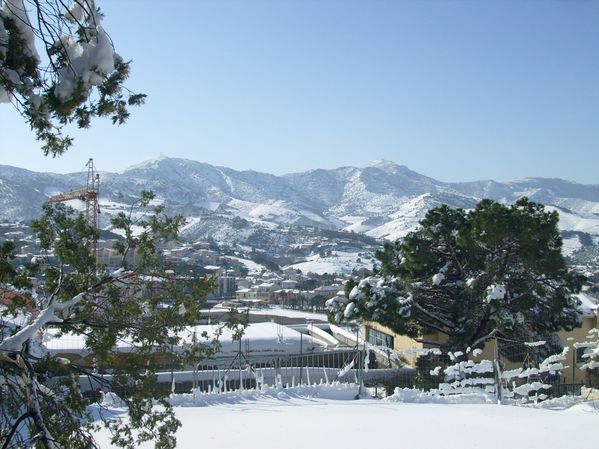 S7301350.JPG