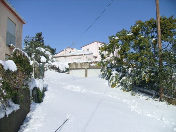 S7301351-copie-1.JPG