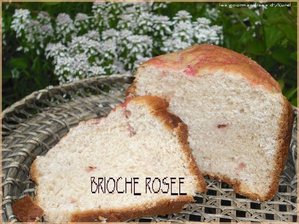 bricoche-eclats-de-roses1.jpg