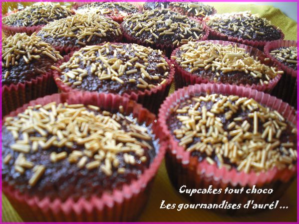 cupcakes-tout-choco.jpg