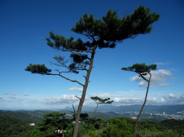 SDC10135.JPG