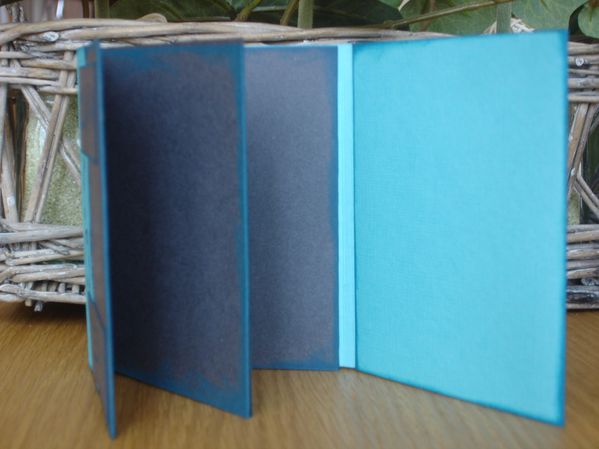 janvier-a-avril-2012-005.JPG