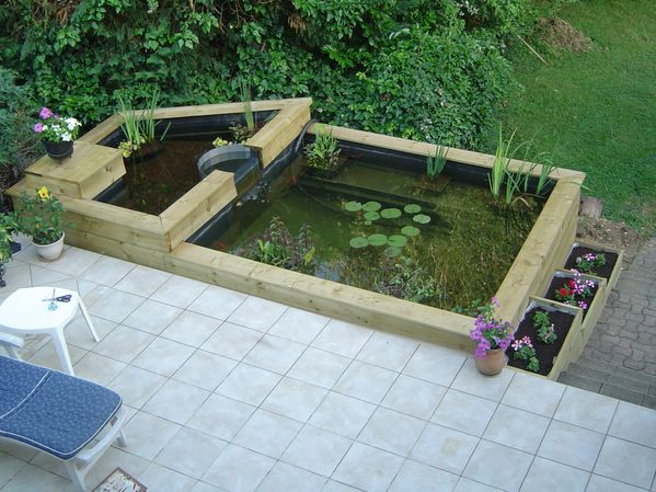 bassin de jardin blog